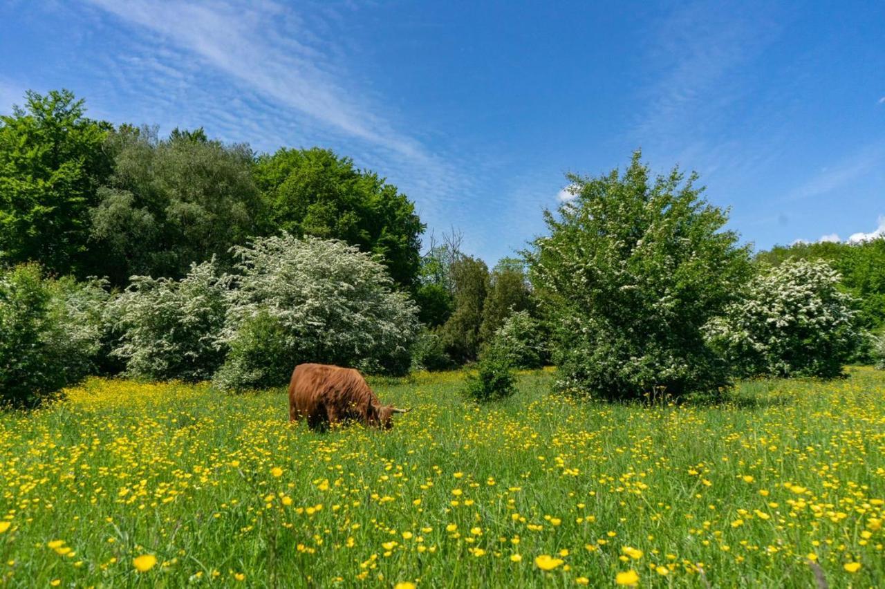 Europarcs Het Amsterdamse Bos Ξενοδοχείο Άμστελβεεν Εξωτερικό φωτογραφία